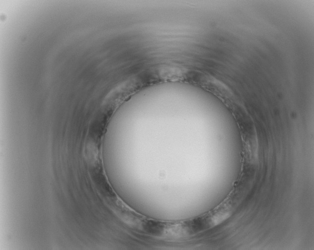 X0000073760705200608102046