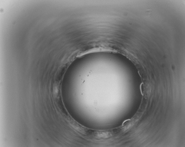 X0000073760709200608102046