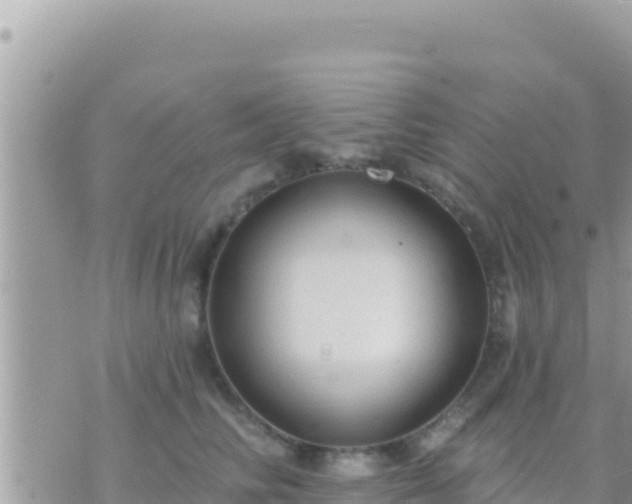 X0000073760710200608102046