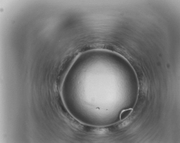 X0000073760711200608102046