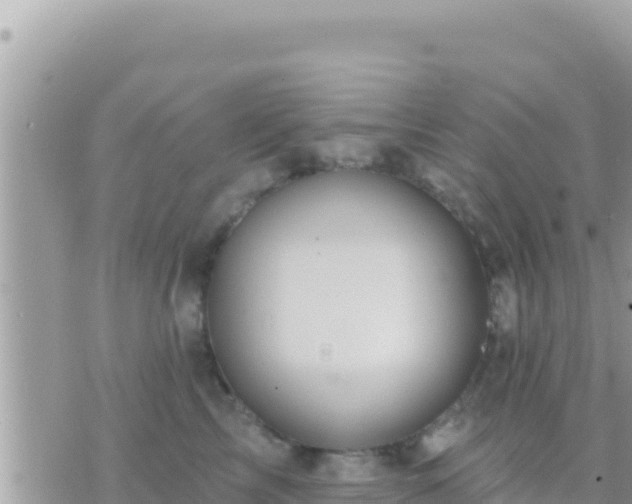 X0000073760713200608102046