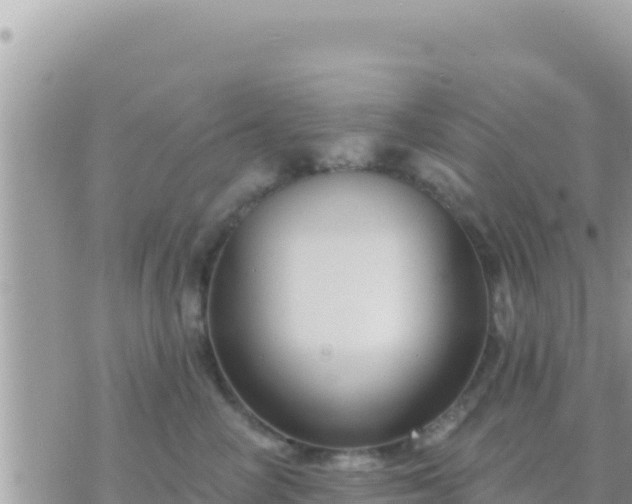 X0000073760714200608102046