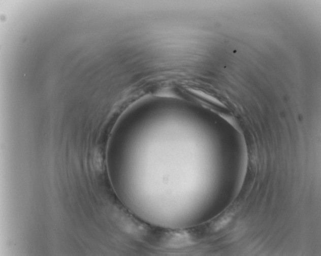 X0000073760715200608102045