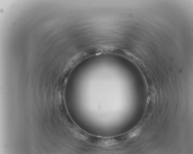 X0000073760716200608102045