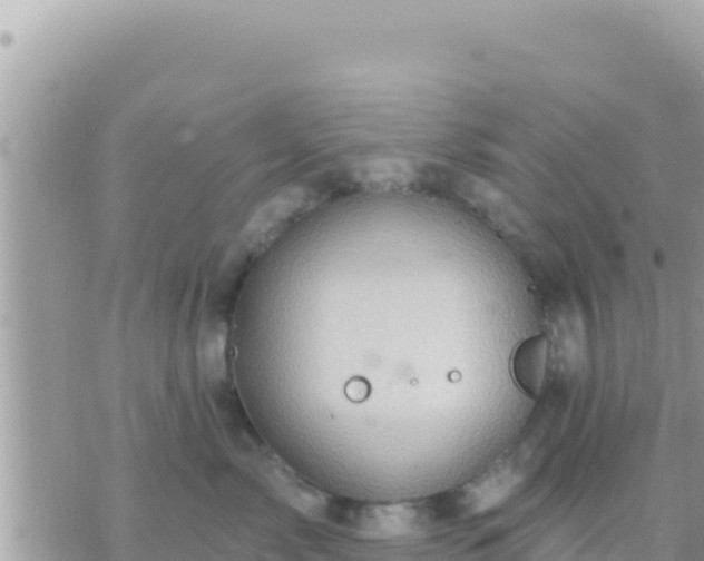 X0000073760717200608102045