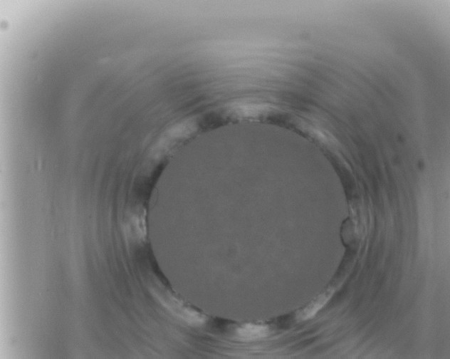 X0000073760718200608102045