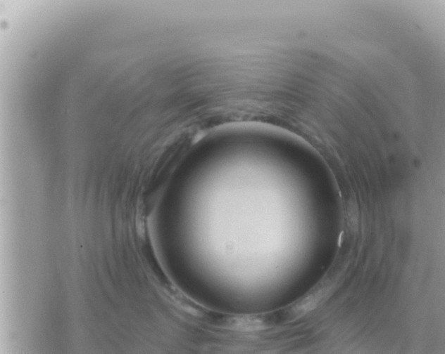 X0000073760719200608102045