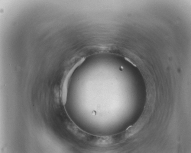 X0000073760720200608102045