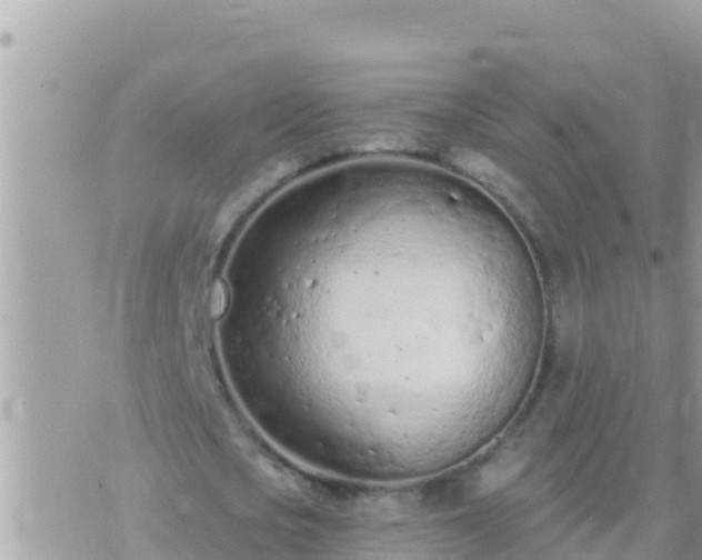 X0000073760721200608102045