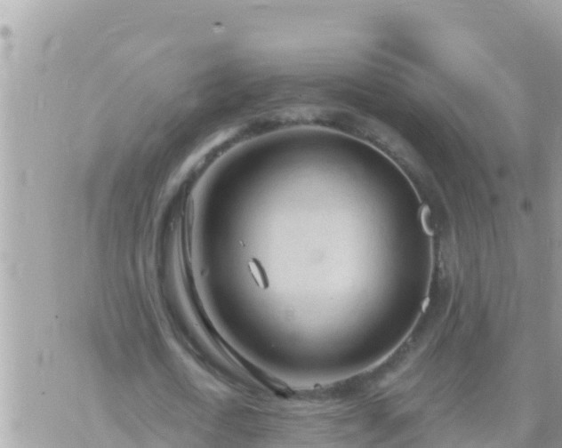 X0000073760722200608102045