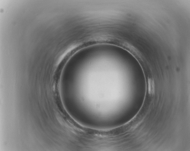 X0000073760723200608102045