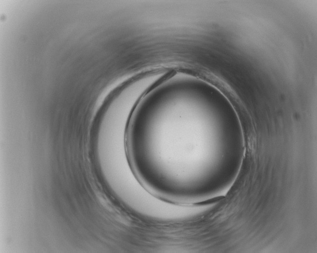 X0000073760724200608102045