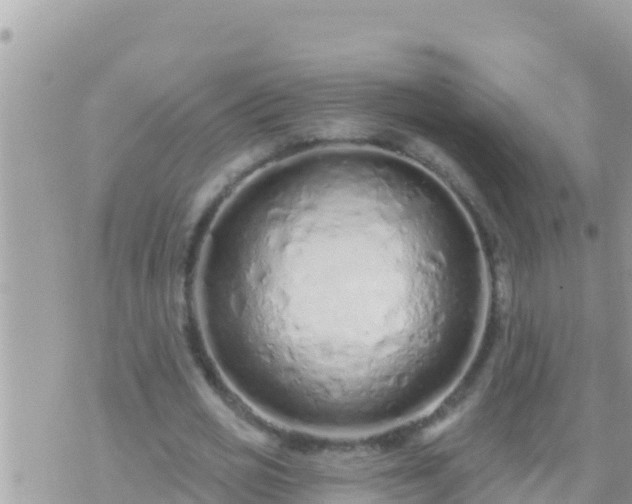 X0000073760725200608102045