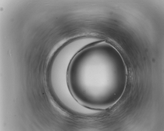 X0000073760726200608102045