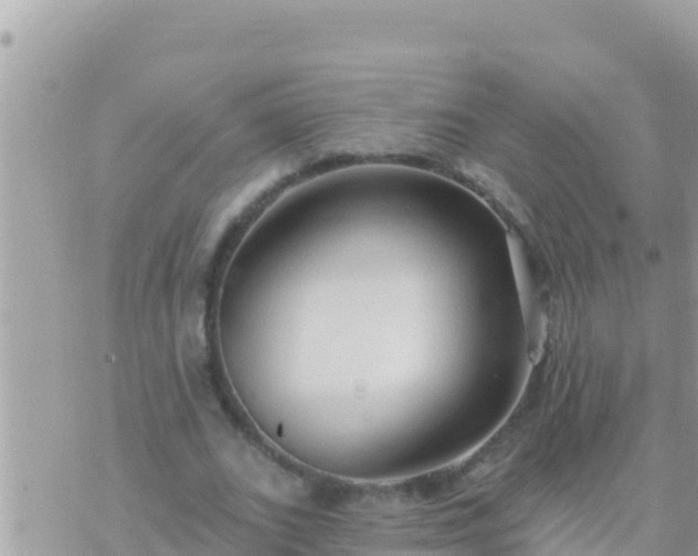 X0000073760727200608102045