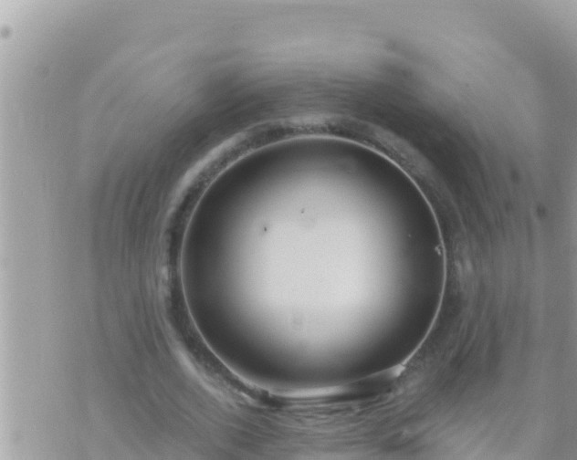 X0000073760728200608102045