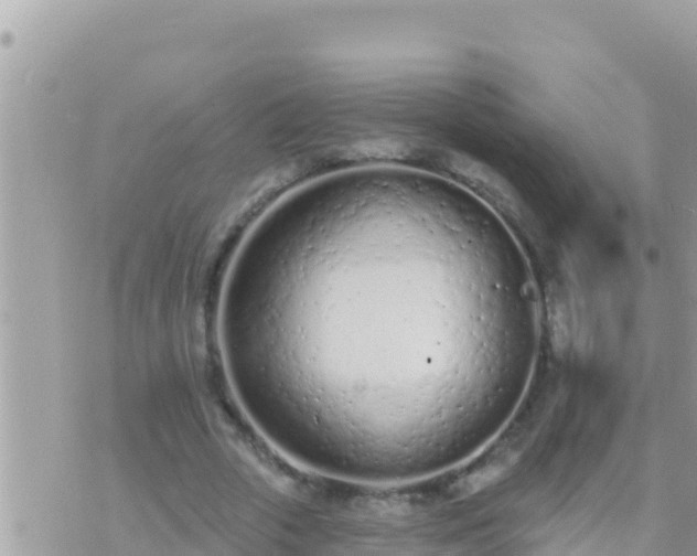 X0000073760729200608102045