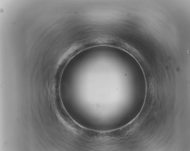 X0000073760730200608102045