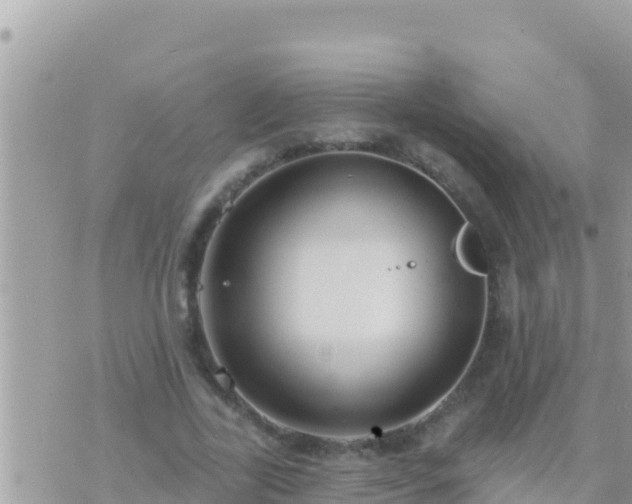 X0000073760731200608102045