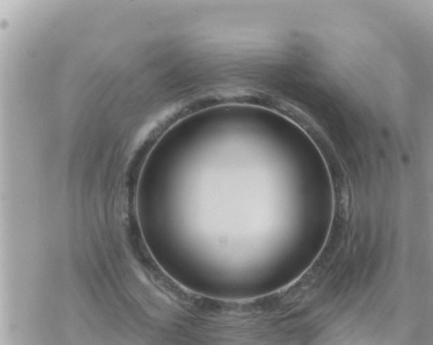 X0000073760732200608102045