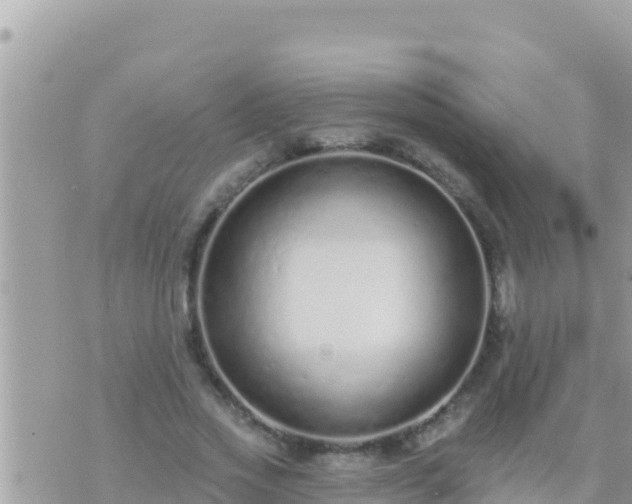 X0000073760733200608102045