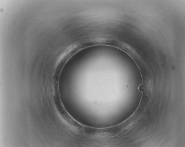 X0000073760734200608102045