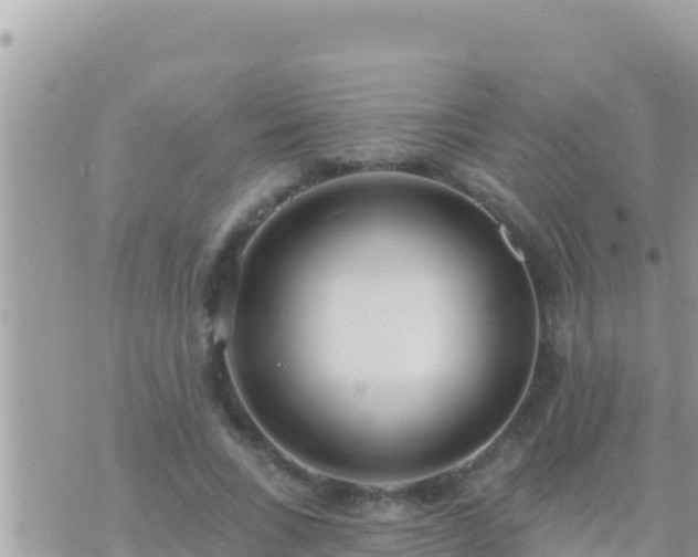 X0000073760735200608102045