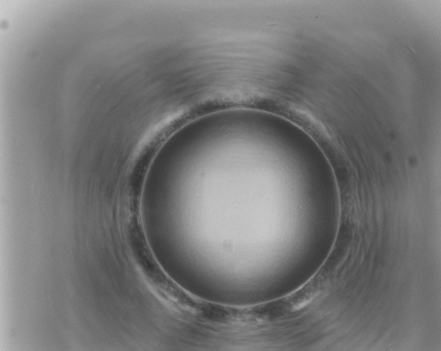 X0000073760736200608102045