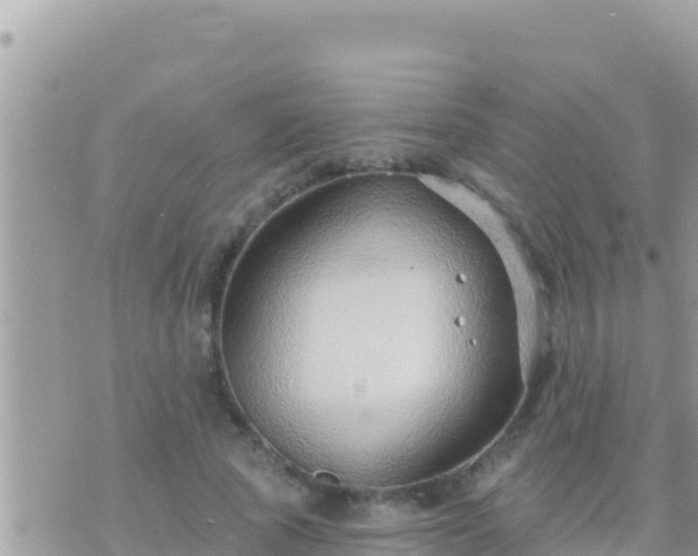 X0000073760737200608102045