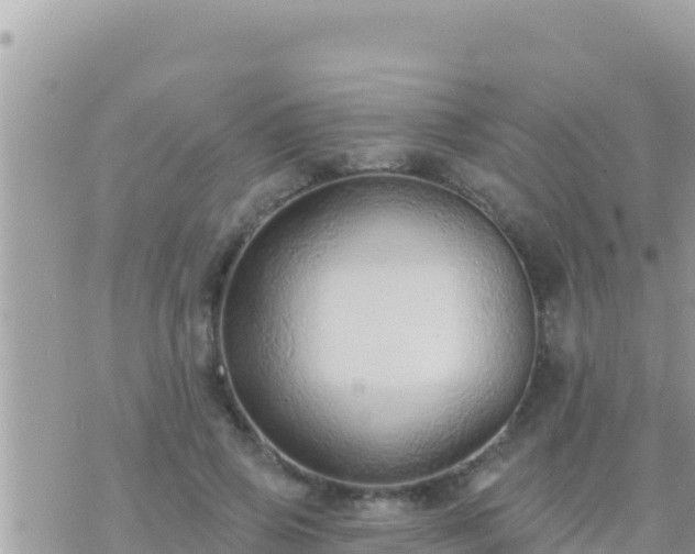 X0000073760741200608102045