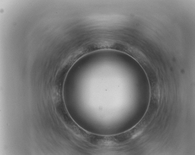 X0000073760743200608102045