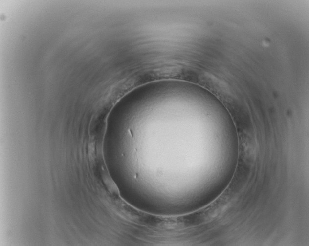 X0000073760745200608102045