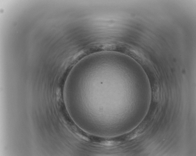 X0000073760748200608102045