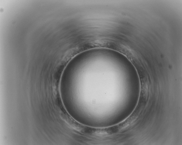 X0000073760749200608102045