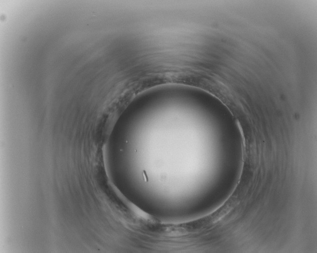 X0000073760750200608102045