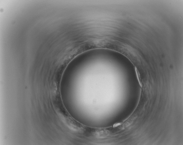 X0000073760752200608102045