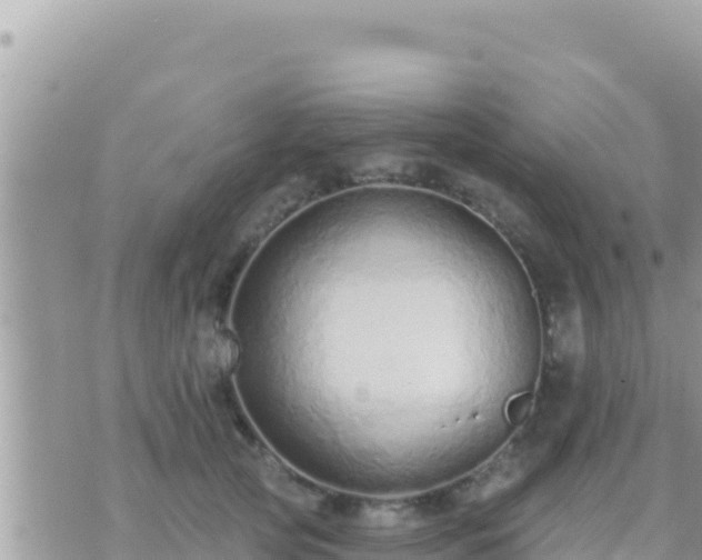 X0000073760753200608102045