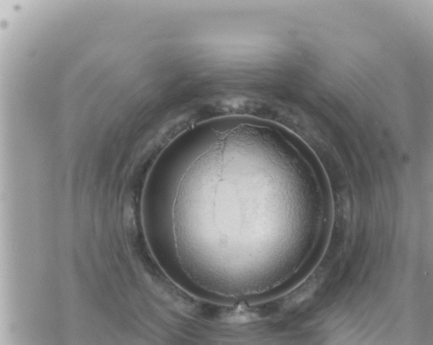 X0000073760754200608102045