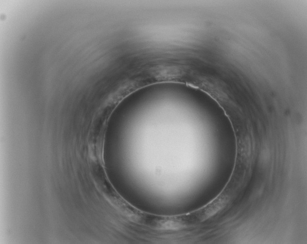 X0000073760755200608102045