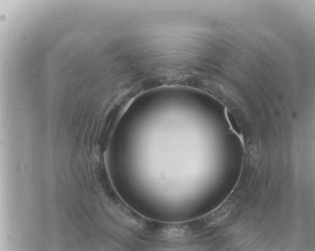 X0000073760756200608102045