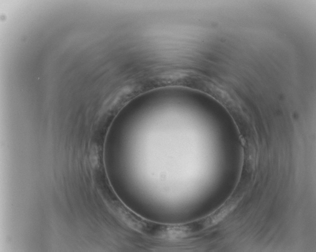 X0000073760758200608102045