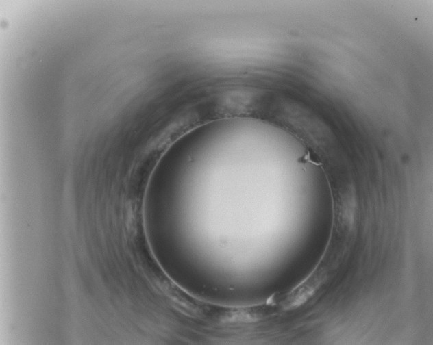 X0000073760759200608102045