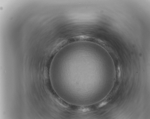 X0000073760760200608102045