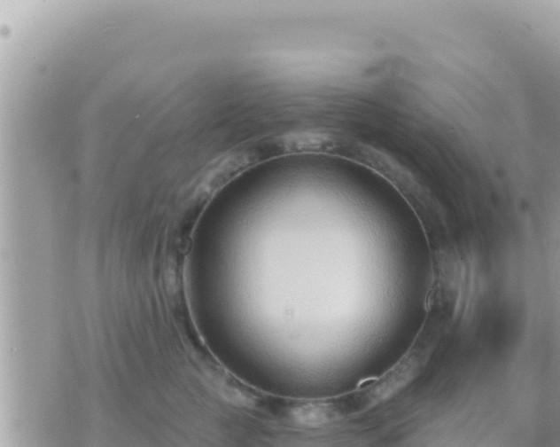 X0000073760761200608102045