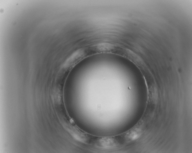 X0000073760762200608102045