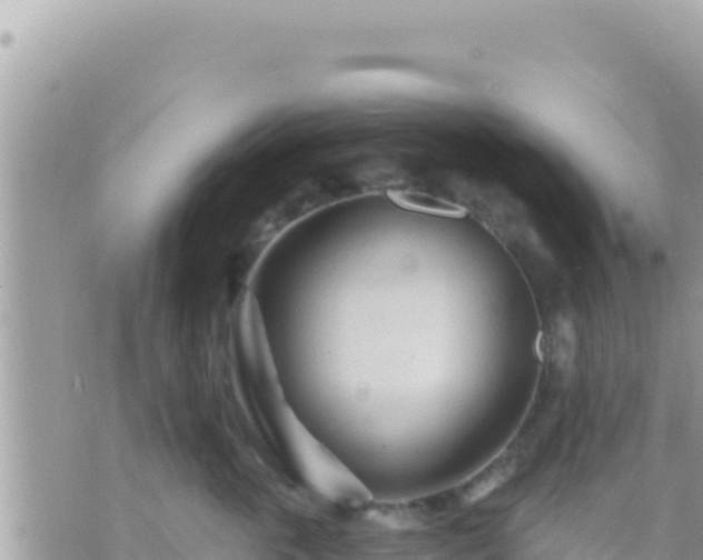 X0000073760763200608102045