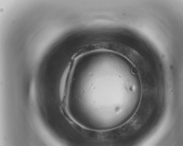 X0000073760765200608102045