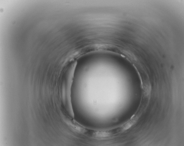 X0000073760766200608102045