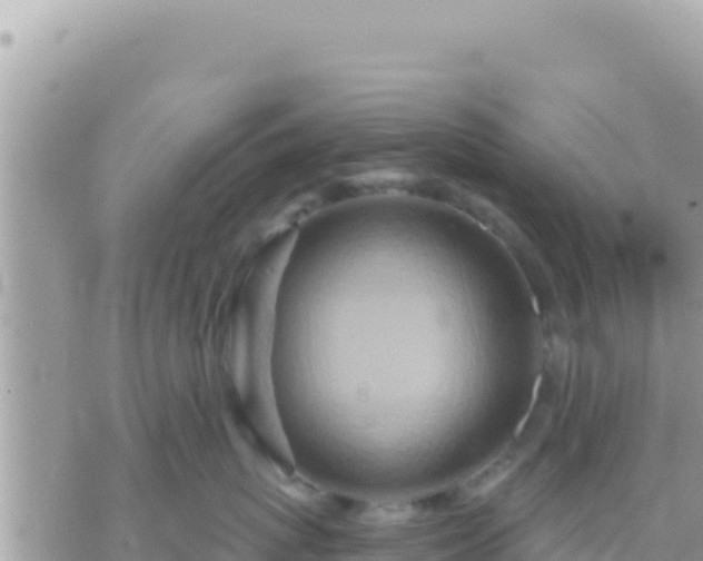 X0000073760767200608102045