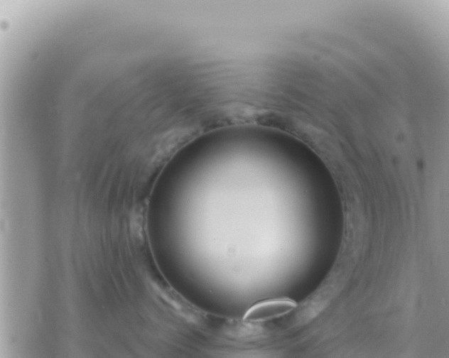 X0000073760768200608102045